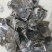 蓬莱长岛精品海带干海带无沙产地直发量大从优