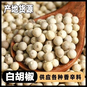 白胡椒全足干胡椒散装批发足干潮货胡椒瓶香辛料批发调味品