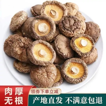 香菇干货500g新鲜农家肉厚无根干香菇批发虫草毛重非净重
