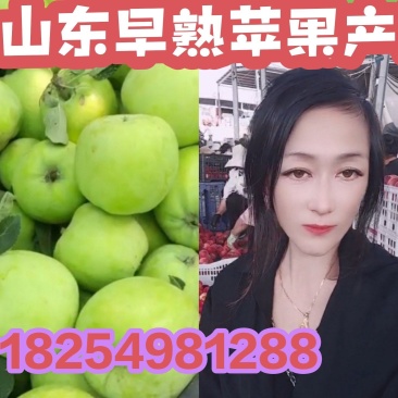 辽付苹果一手货源今天价格行情脆甜好吃价格不贵