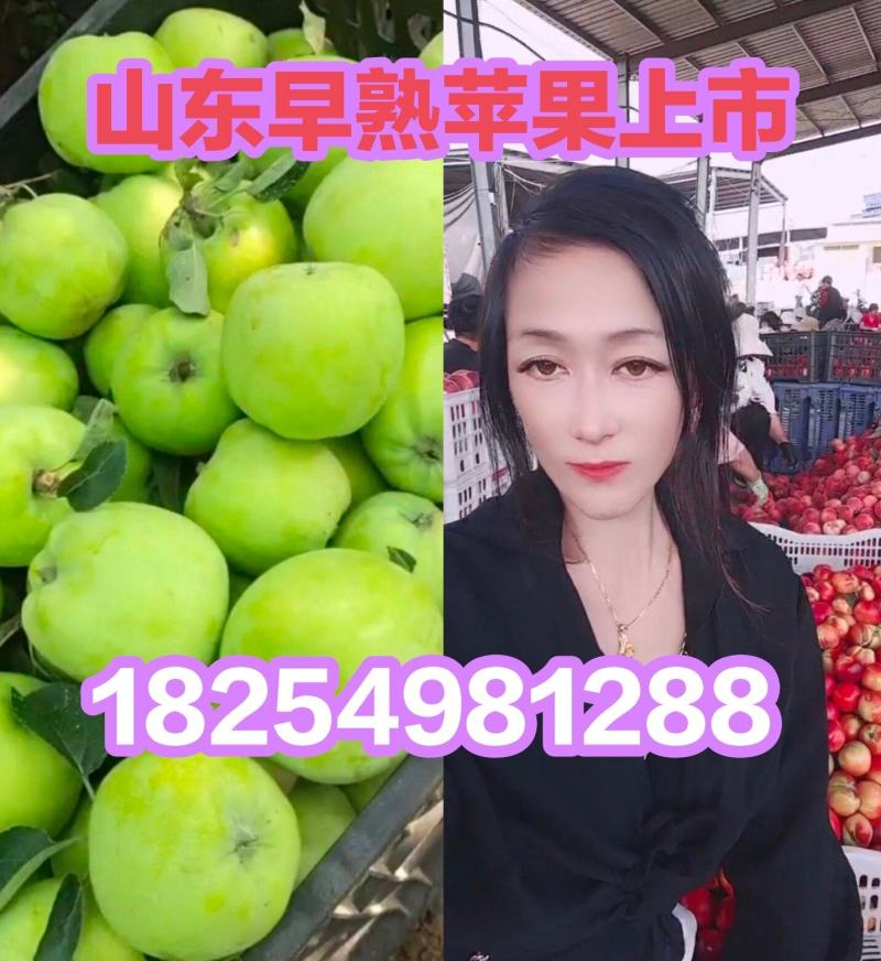辽付苹果一手货源今天价格行情脆甜好吃价格不贵