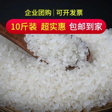 东北大米5kg珍珠米新米圆粒米粳米厂家批发活动10斤礼品