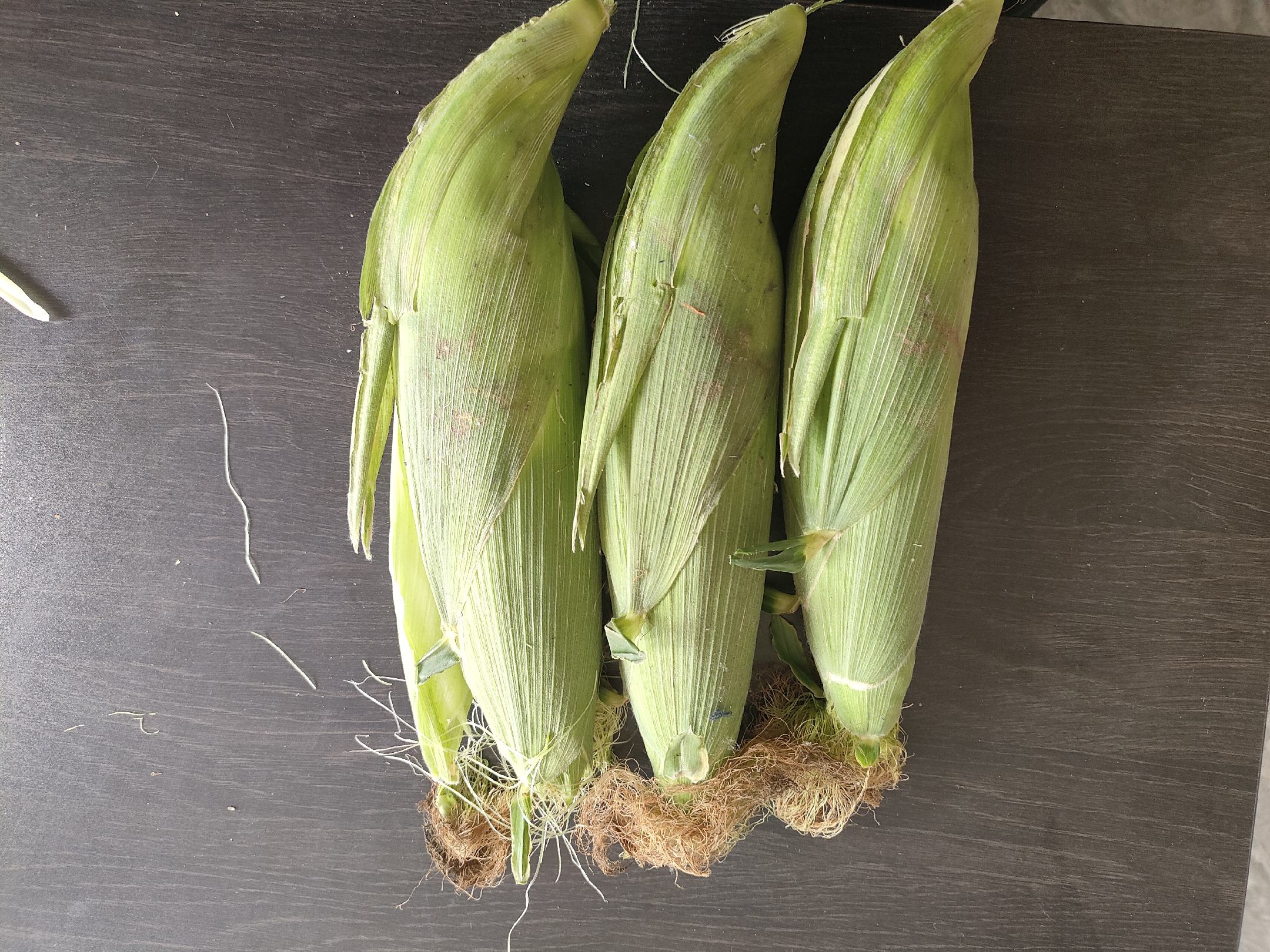 Fresh Hetian jujubes arranged neatly on a wooden table A close-up of fresh Hetian jujubes arranged neatly on a wooden table