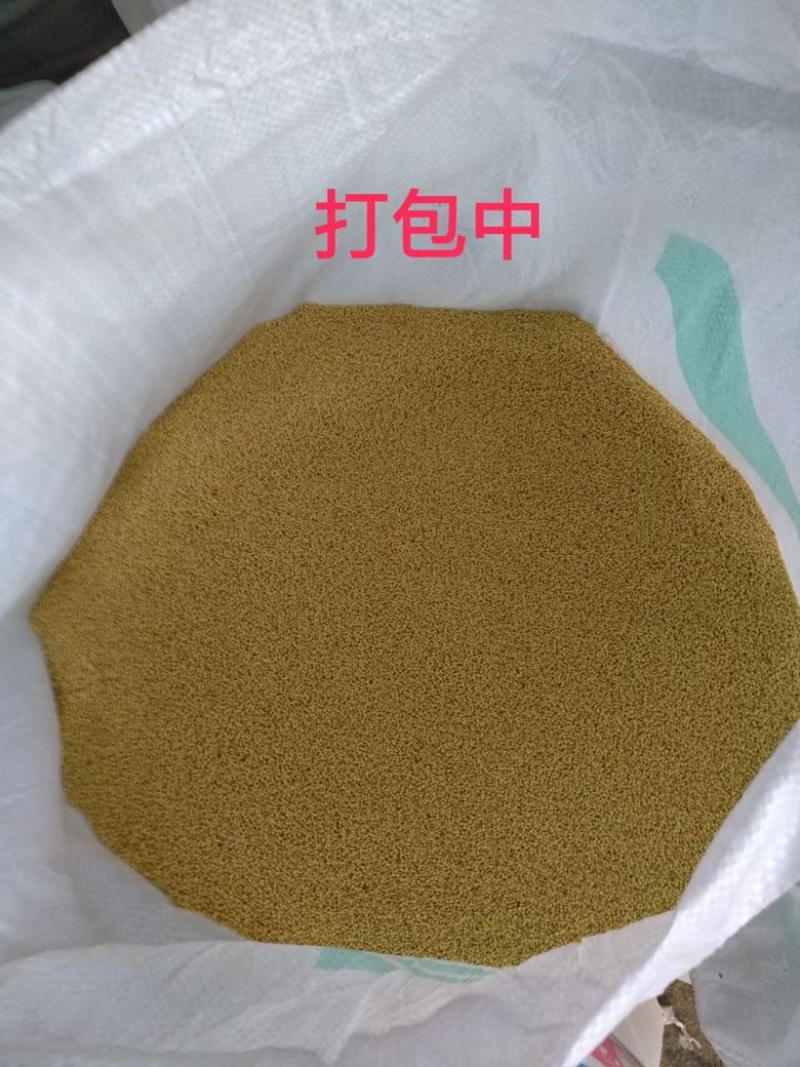 贵州黄小米糯小米基地一手好货对接各级客商欢迎咨询