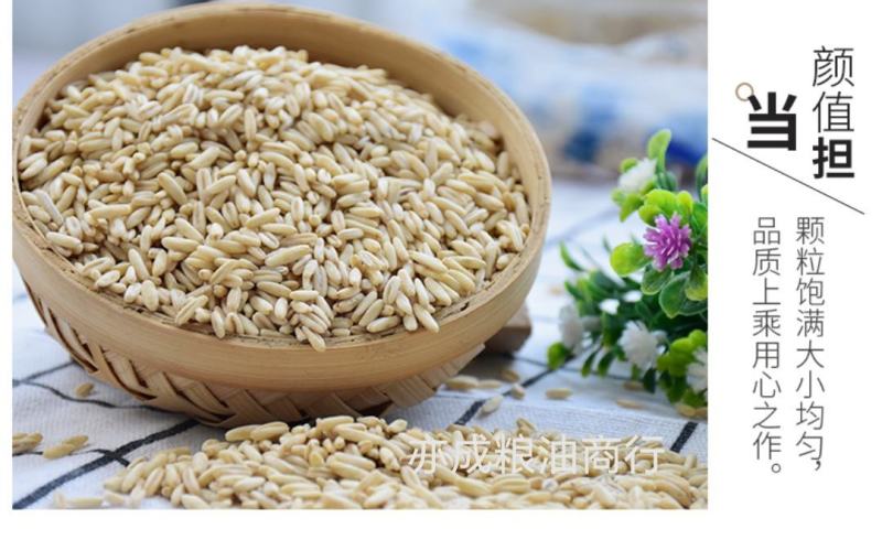 燕麦胚芽米批发裸燕麦仁五谷杂粮去皮燕麦米