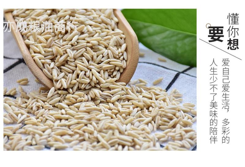 燕麦胚芽米批发裸燕麦仁五谷杂粮去皮燕麦米