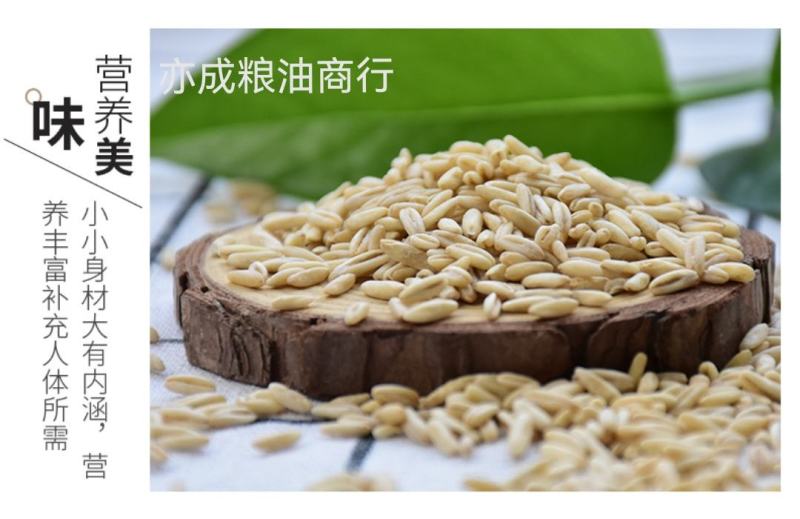 燕麦胚芽米批发裸燕麦仁五谷杂粮去皮燕麦米