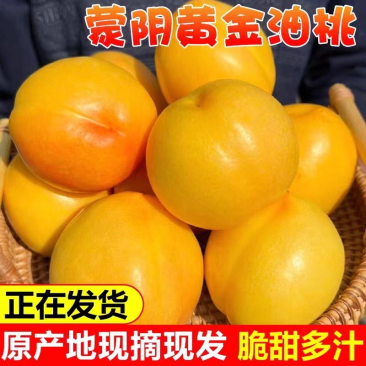 黄桃，对接社区团购，各电商平台，商超，一件代发
