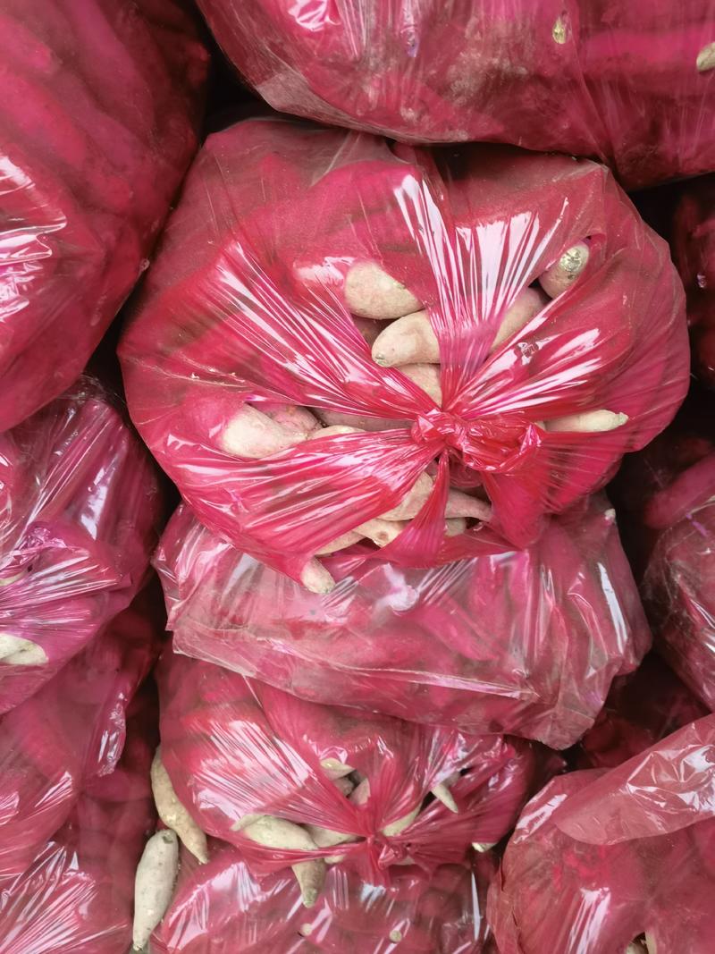 精品龙九小薯大量供应产地直发支持各种包装