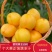 黄桃，对接电商，社区团购，支持一件代发，大量现货