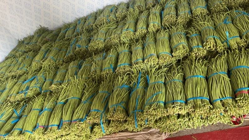 优质豇豆角质量杠杠滴