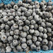 露天蓝莓大批量上市，莱克西，绿宝石，薄雾，奥尼尔