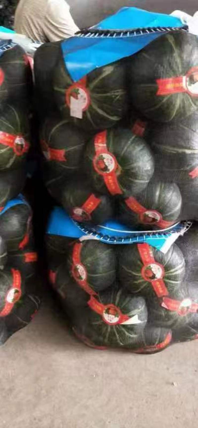 山东贝贝南瓜大量上市品质保证一手货源量大从优