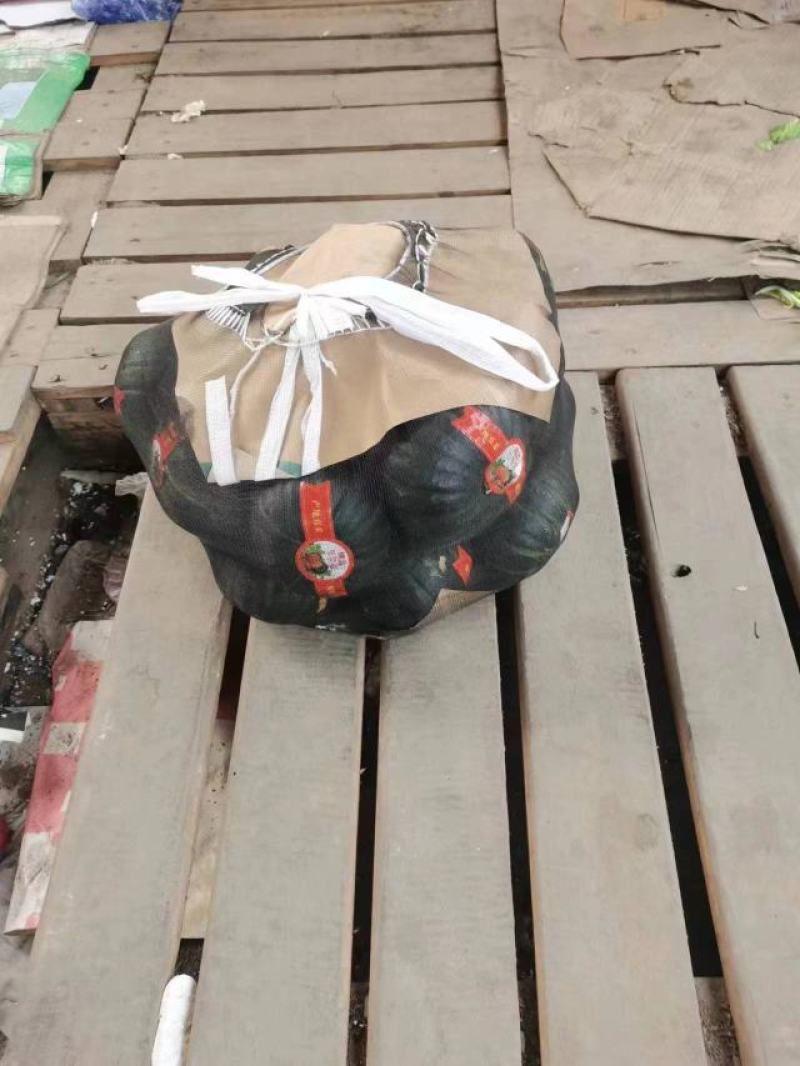 山东贝贝南瓜大量上市品质保证一手货源量大从优