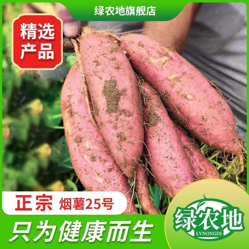 绿农地精品红薯唐山正宗烟薯25产地直发批发电商一件代发