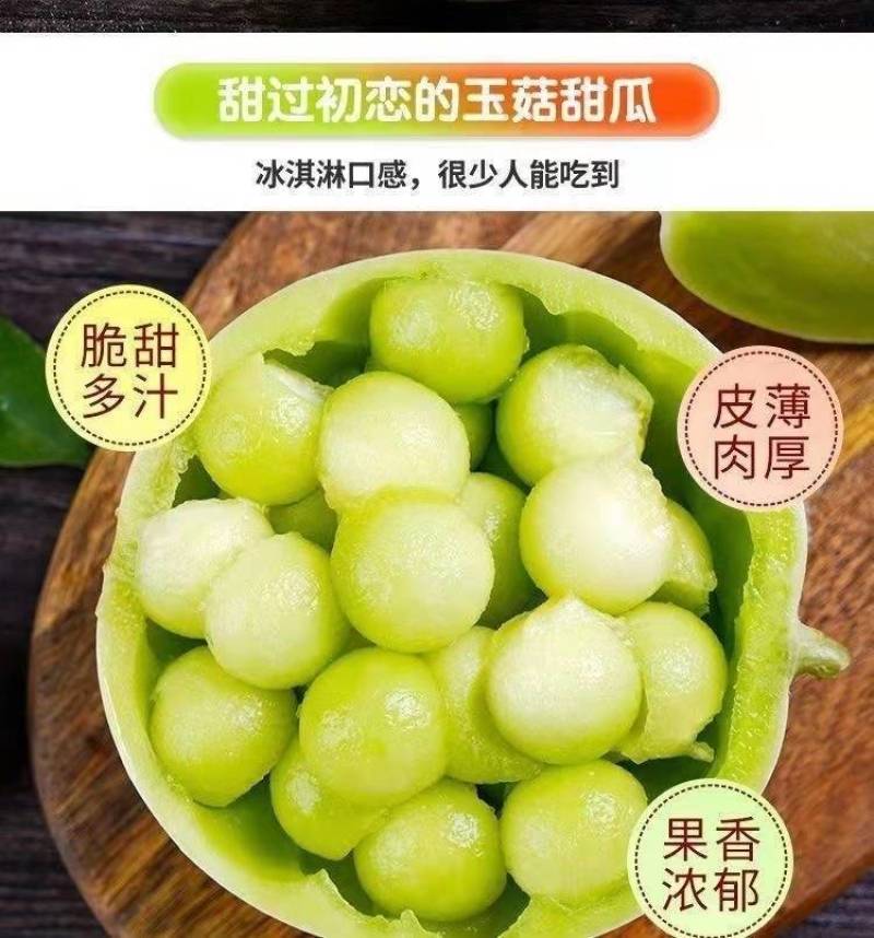 山东玉菇冰淇淋甜瓜一件代发批发社区团购产地直发