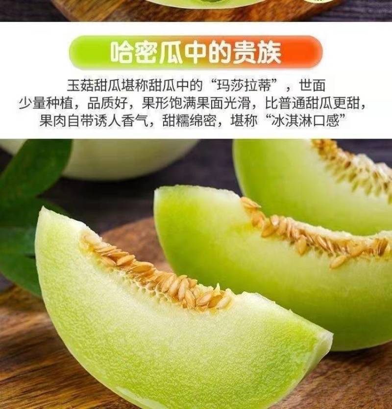 山东玉菇冰淇淋甜瓜一件代发批发社区团购产地直发