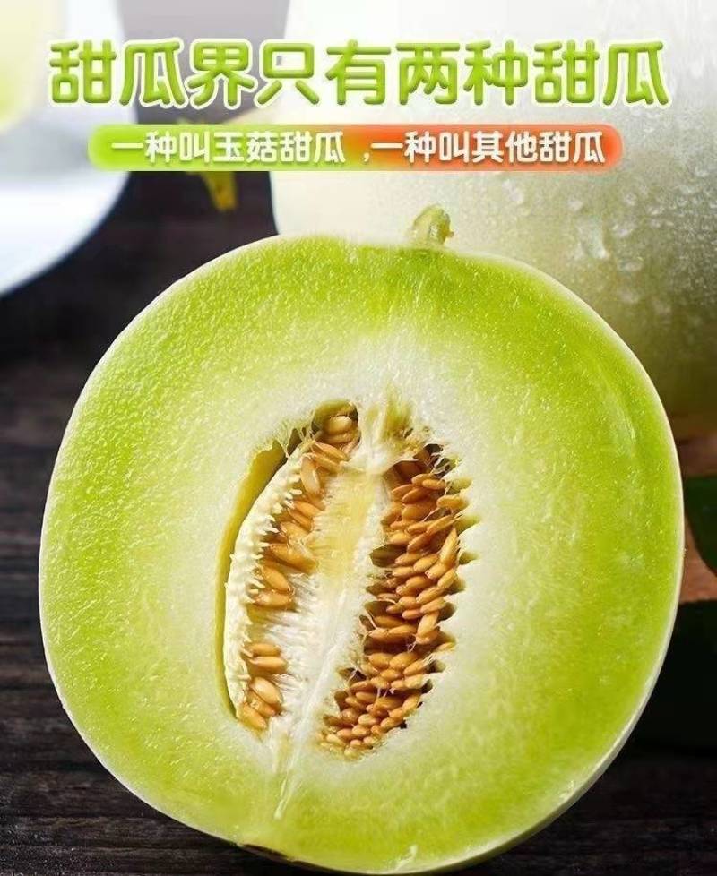 山东玉菇冰淇淋甜瓜一件代发批发社区团购产地直发