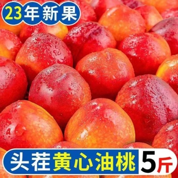 现货黄心油桃5斤桃子新鲜水果当季黄肉应季甜蜜脆桃一件代发