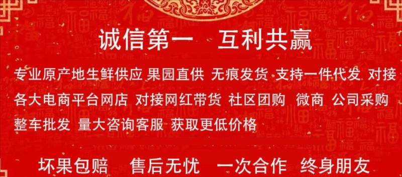 现货黄心油桃5斤桃子新鲜水果当季黄肉应季甜蜜脆桃一件代发