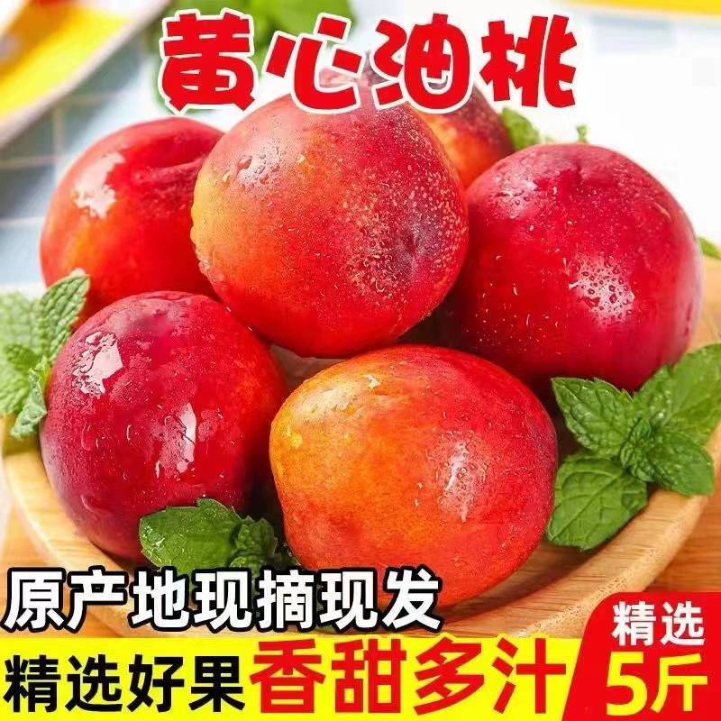现货黄心油桃5斤桃子新鲜水果当季黄肉应季甜蜜脆桃一件代发