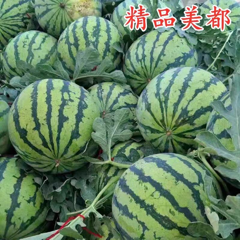 【精品】湖北宜城美都西瓜，质量保证口感好，欢迎来电选购