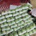 精品西瓜大量上市美都8424产地直发皮薄个大甜度高发全国