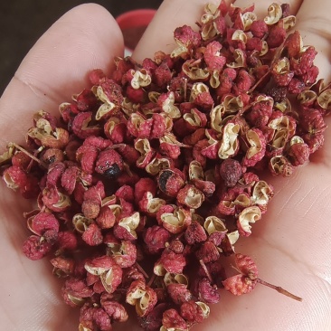 【精品】陕西大红袍花椒颜色红麻度高开口率高