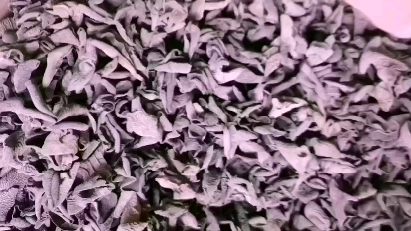 高清微距拍摄:干燥秋木耳自然卷曲状,耳片厚实(厚度约1.2–1.8mm),表面可见细密浅沟纹与蜡质光泽,无霉斑、无碎屑,背景为原木砧板,体现天然采摘属性 秋木耳干品特写:深褐近黑、表面起皱有光泽、朵形完整边缘微卷