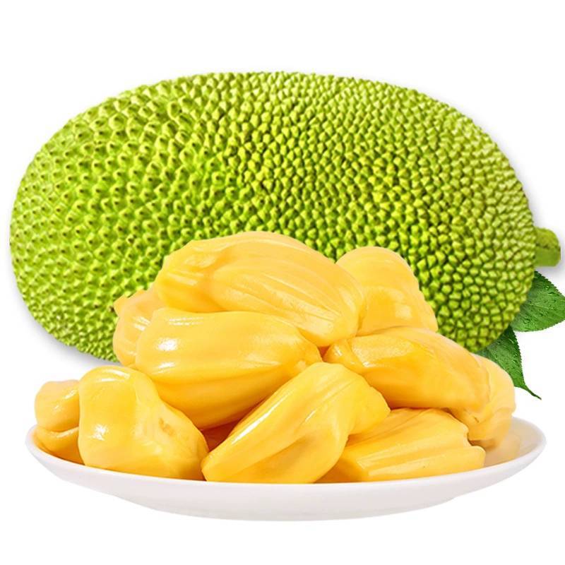 菠萝蜜海南菠萝蜜新鲜水果黄肉红肉菠萝蜜整个批发一件代发现