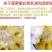 菠萝蜜海南菠萝蜜新鲜水果黄肉红肉菠萝蜜整个批发一件代发现
