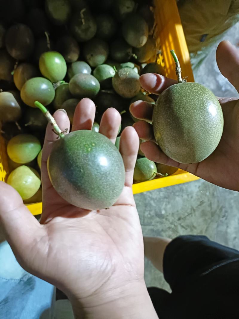 百香果