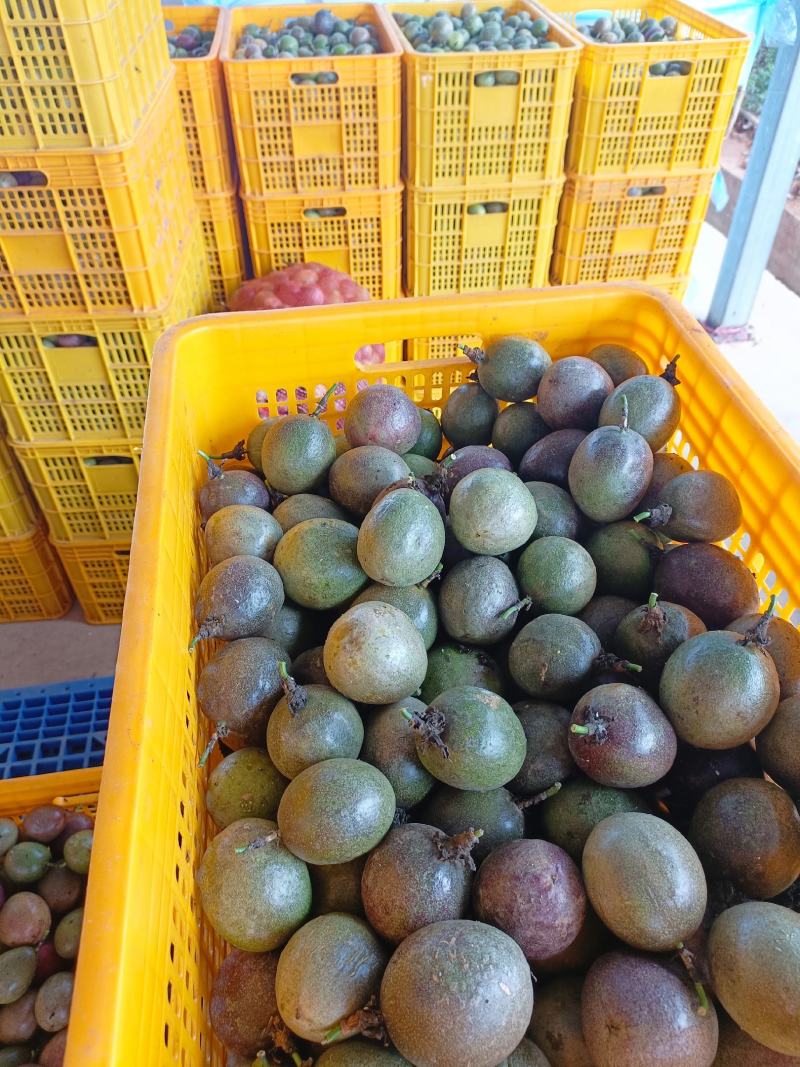 百香果