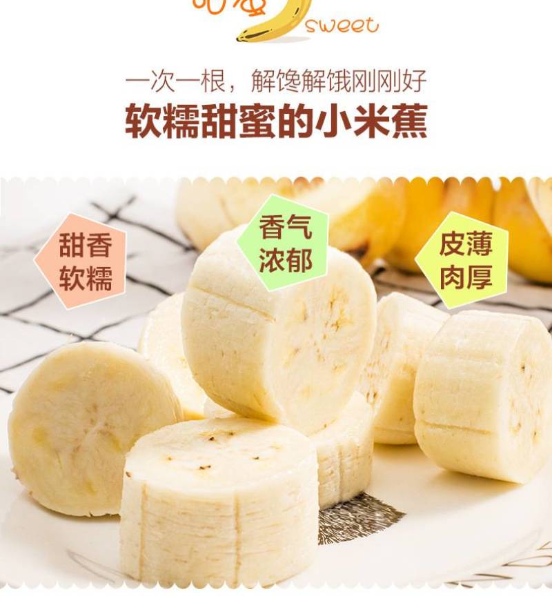 现货广西小米香蕉8分熟新鲜水果软糯孕妇水果小香蕉非天宝蕉