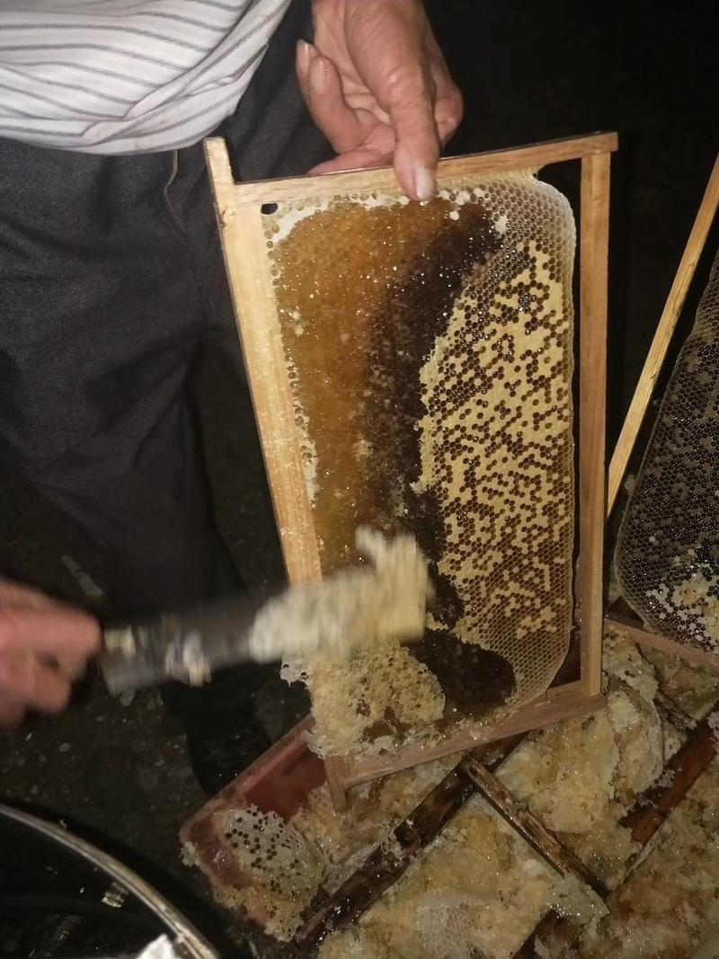 正宗大山自养中蜂土蜂蜜