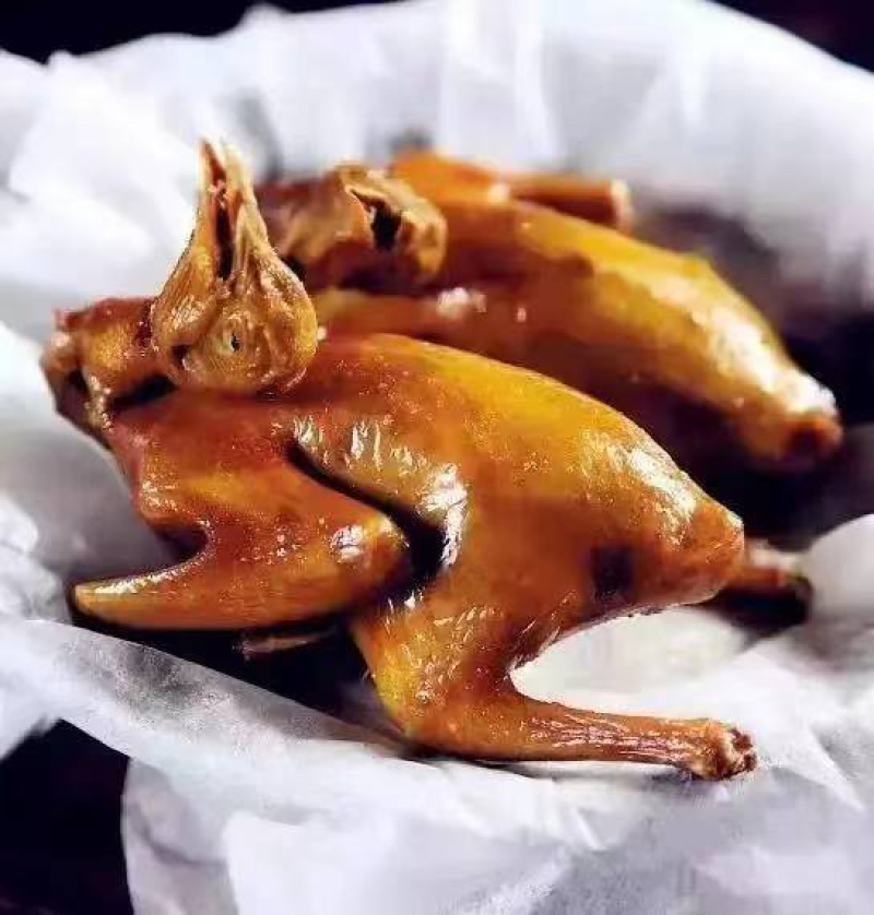 广西生鲜鸽子，精品乳鸽，预包装冻品乳鸽中鸽欢迎下单