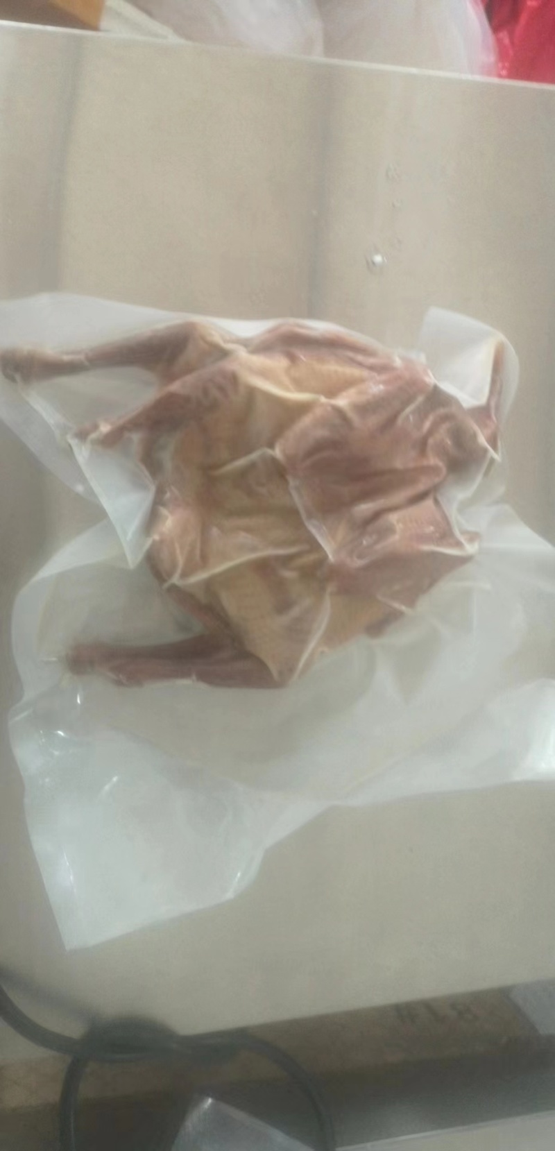 广西生鲜鸽子，精品乳鸽，预包装冻品乳鸽中鸽欢迎下单