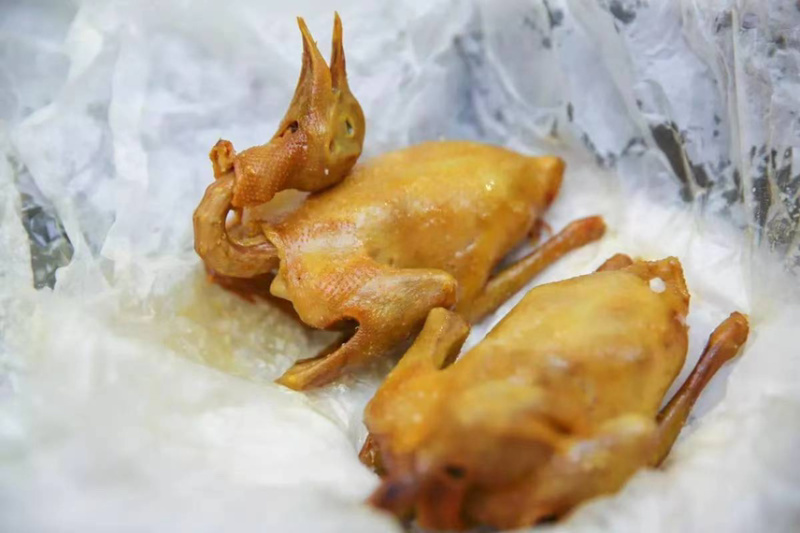 广西生鲜鸽子，精品乳鸽，预包装冻品乳鸽中鸽欢迎下单