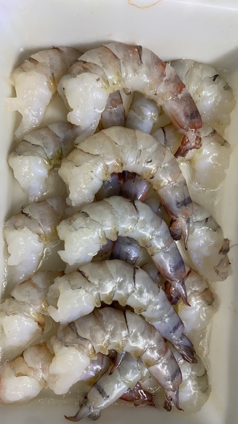 黑虎特大虾品质保证