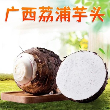 现货广西荔浦芋头代发5斤新鲜粉糯宝宝辅食毛芋头自种应季