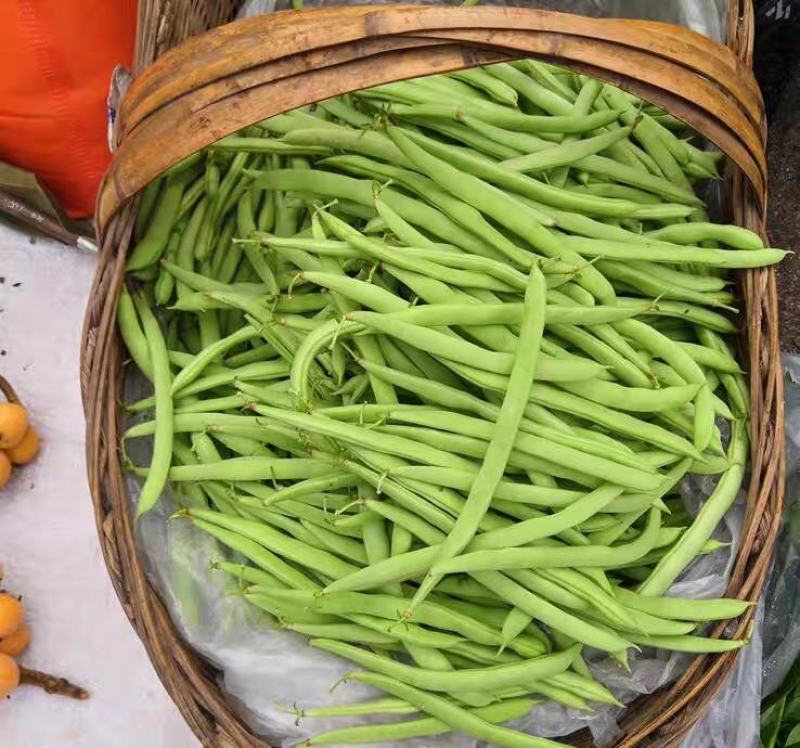 四季豆，白花四季豆产地一手货源，现摘打包装货发货保量