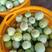绿宝香瓜，自产自销