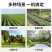 智能遥控高压电动新型打药机农用打药机喷雾器自动收排管喷雾