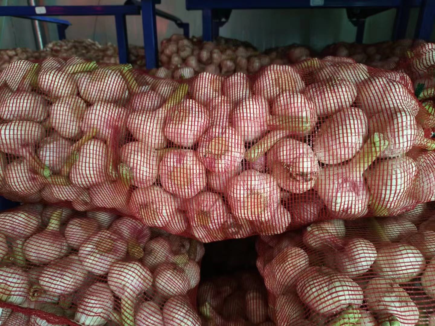 大蒜电商打包发货现场