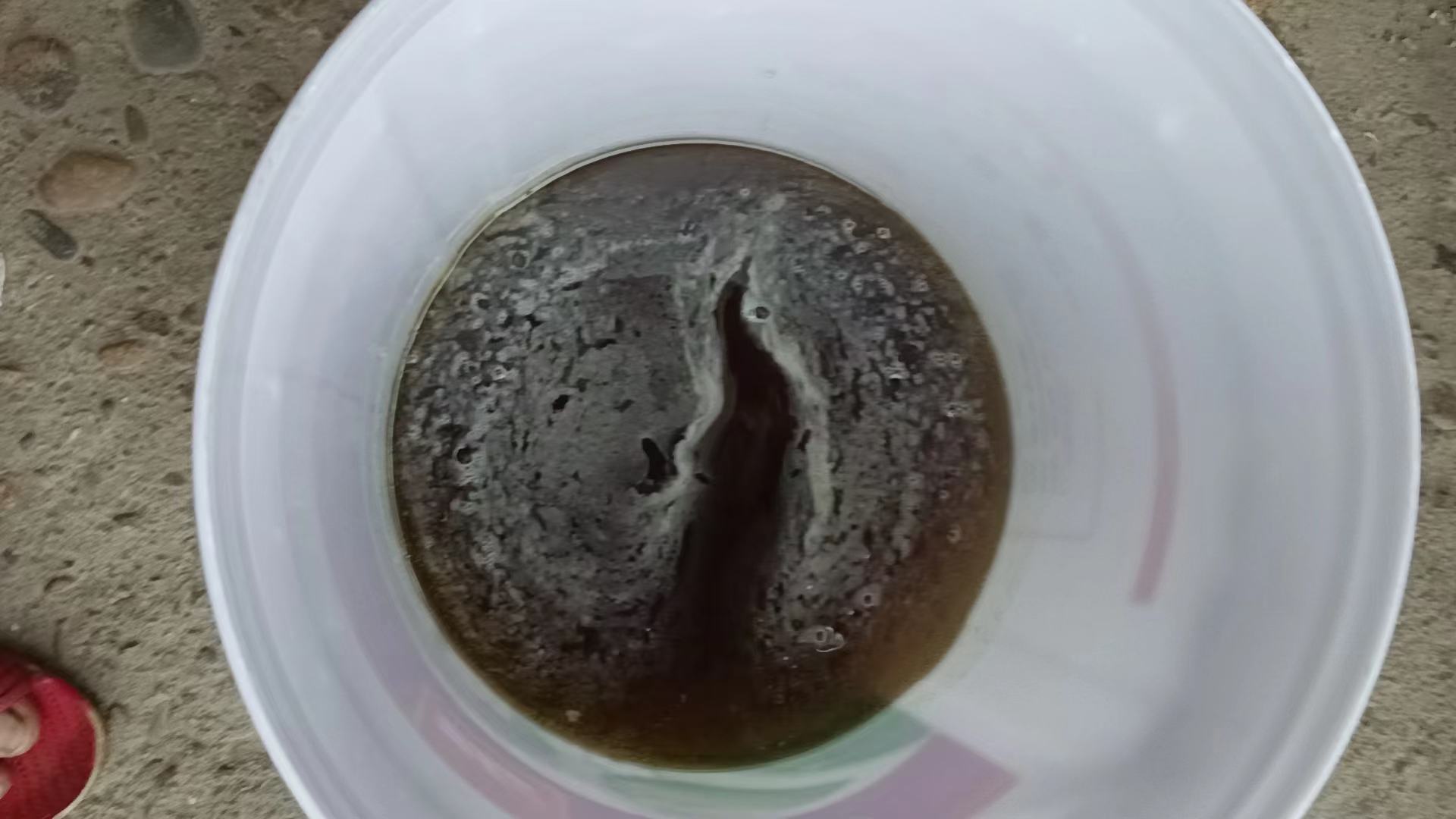 加热熬制蜂蜜过程