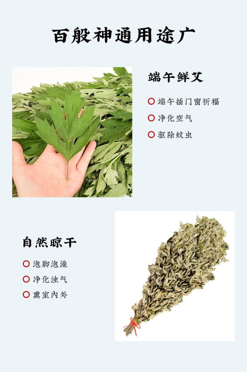 干艾草新鲜整棵端午节挂门艾蒿草野生艾包叶草驱蚊家用香薰净