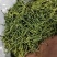 山银花，小米花，茶花
