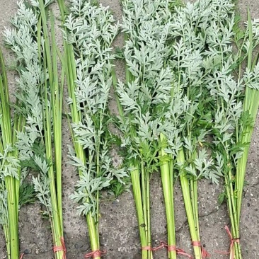 菖蒲艾草端午节用品