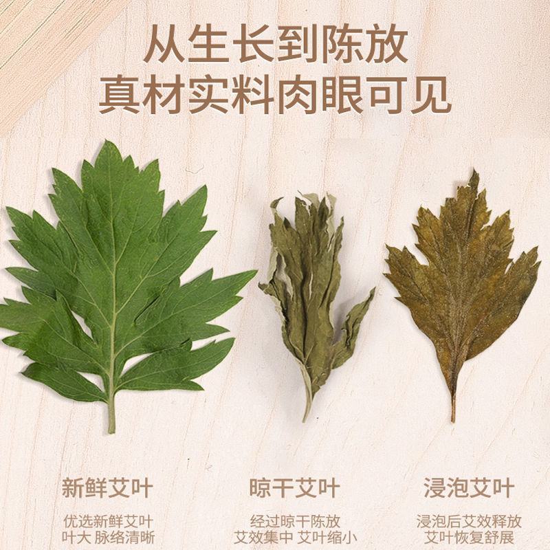 野生艾叶干艾叶