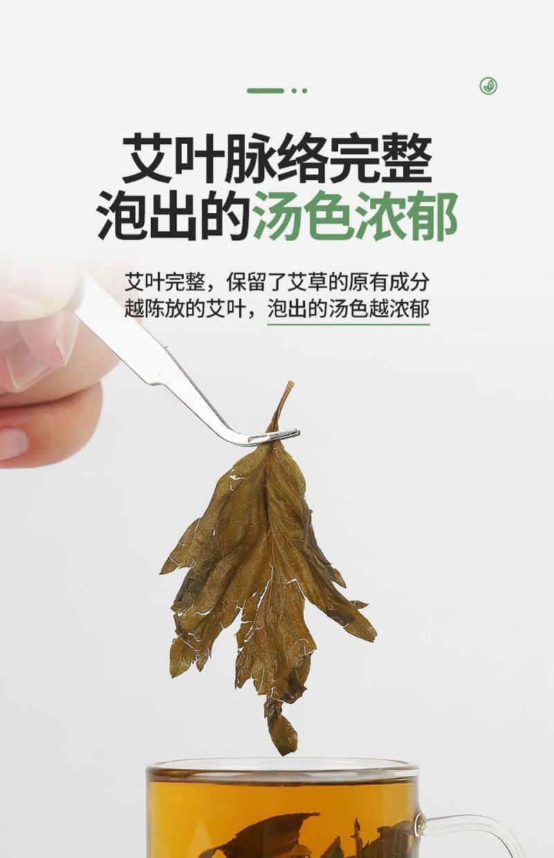 野生艾叶干艾叶
